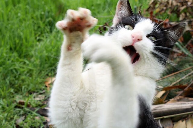 开云官方网站-冬季运动项目发展现状与趋势，冬季运动项目发展现状与趋势研究